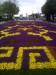 Tulipánový koberec pre Hagiou Sofiou